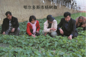 QQ截图20150611102954.png